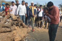 1 साल के मासूम को जिन नन्हे हाथों से 3 दिन बाद काटना था केक, उन्हीं हाथों से
शहीद पिता को दी मुखाग्नि, रो पड़ा पूरा गांव - image