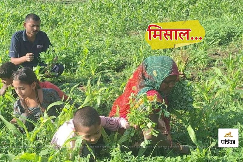 Great Job Rajasthan Banswara Tribal Women are Earning a Lot by Growing Vegetables