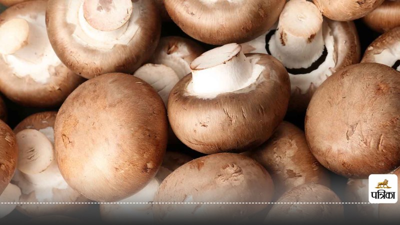 Benefits of eating 5 mushrooms every day mushroom khane ke fayde