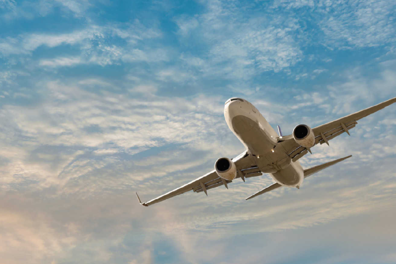 Bhopal-goa flight started