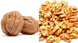 Chinese Walnut:चाइनीज अखरोड़ ने तोड़ी व्यापार की कमर, नेपाल से भारत पहुंच रहा
माल - image