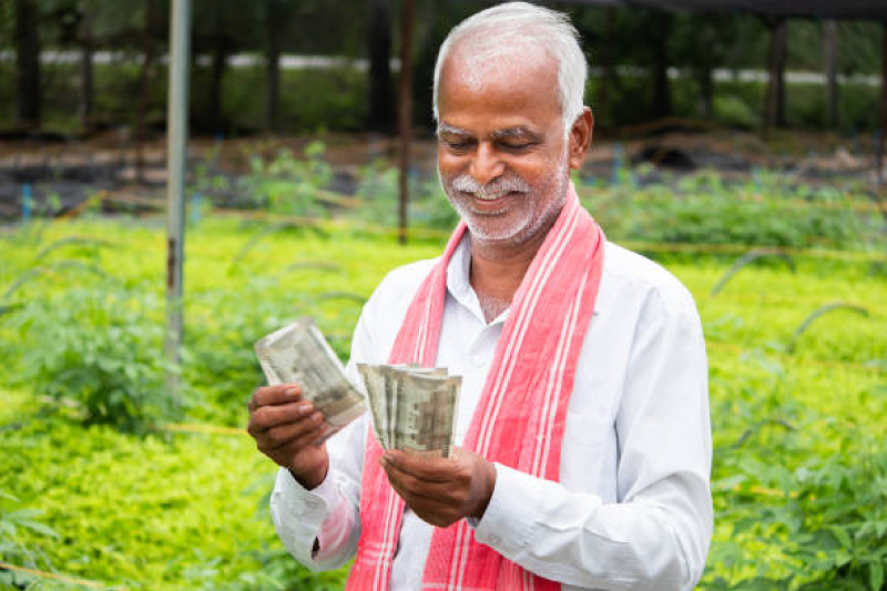 CM Mohan Yadav will deposit compensation funds into farmers' bank accounts