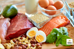 Post Workout Protein Foods: जिम के बाद प्रोटीन के लिए सबसे अच्छे स्रोत है ये
फूड्स, नहीं भूले सेवन करना - image