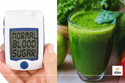 Green Juice for Diabetes: ब्लड शुगर तेजी से होगा कम, पीना शुरू कर दीजिए ये खास 5
ग्रीन जूस - image