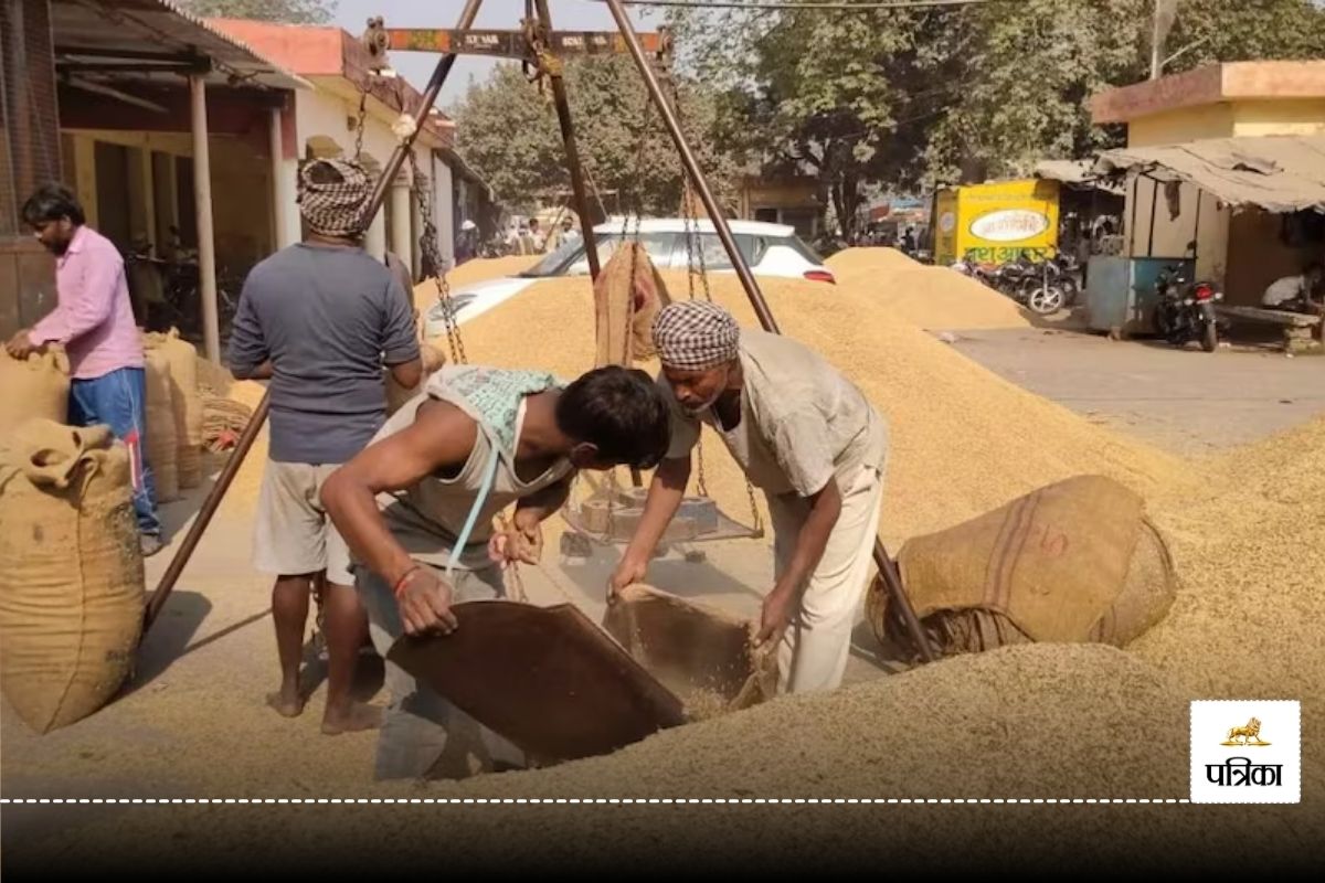 CG Paddy Procurement: बिना मंडी लाइसेंस धान खरीदी पर लगेगा पांच गुना जुर्माना,
खरीदी-बिक्री में होगी दिक्कत