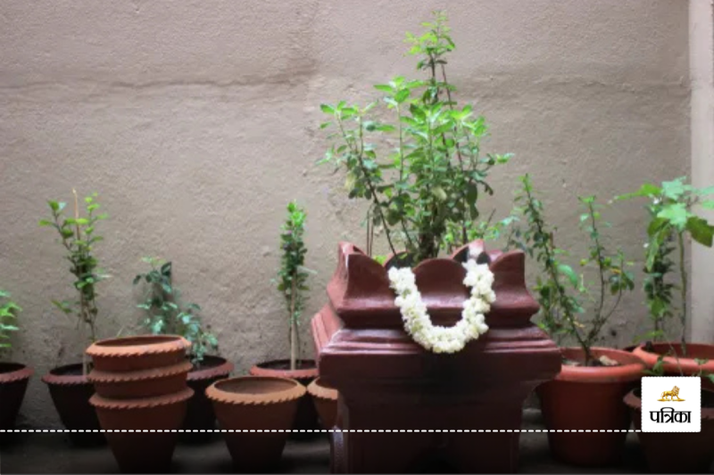 Vastu Plants for Home