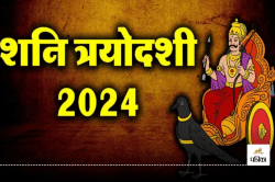 Shani Trayodashi 2024: 28 दिसंबर को शनि त्रियोदशी व्रत, पूजा में ये चीजें जरूर
करें शामिल, शनिदेव की बरसेगी की कृपा - image