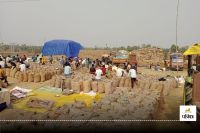 15 नवंबर से शुरू होनी है धान खरीदी! तुहर टोकन मोबाइल ऐप से होगी बुकिंग, सुबह 8 से शाम 5 बजे तक प्रक्रिया...(photo-patrika)