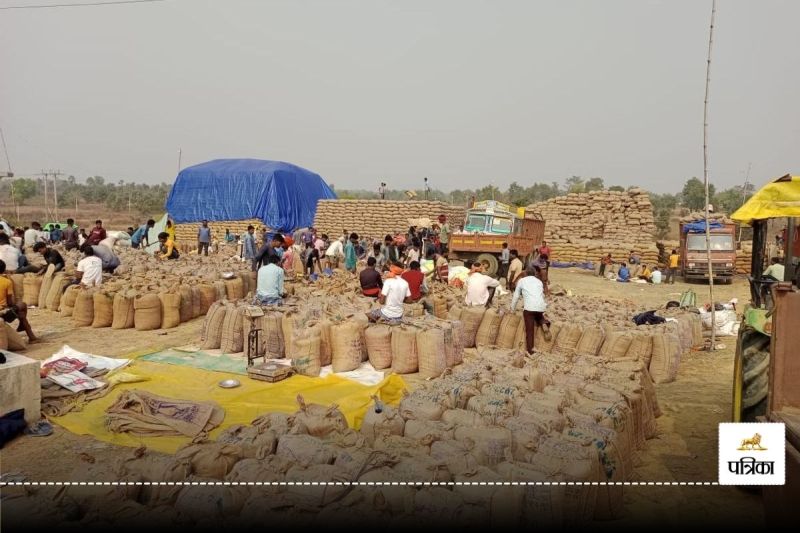 15 नवंबर से शुरू होनी है धान खरीदी! तुहर टोकन मोबाइल ऐप से होगी बुकिंग, सुबह 8 से शाम 5 बजे तक प्रक्रिया...(photo-patrika)