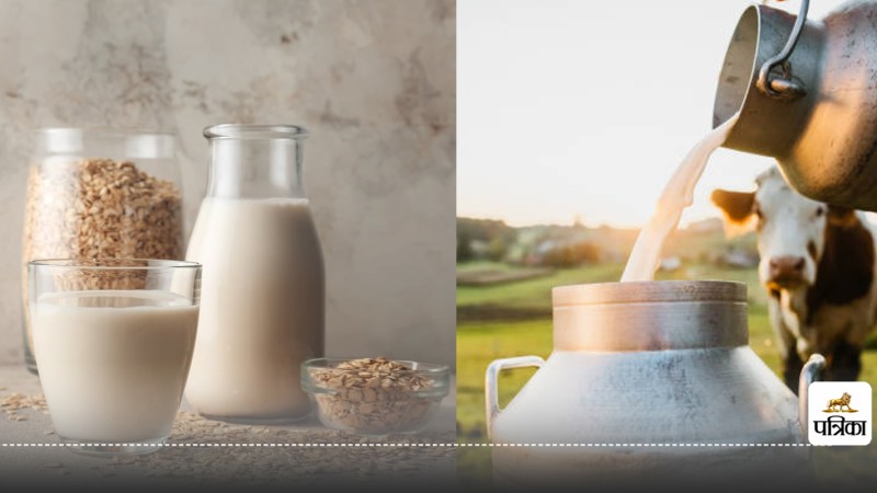 Cow milk vs plant based milk