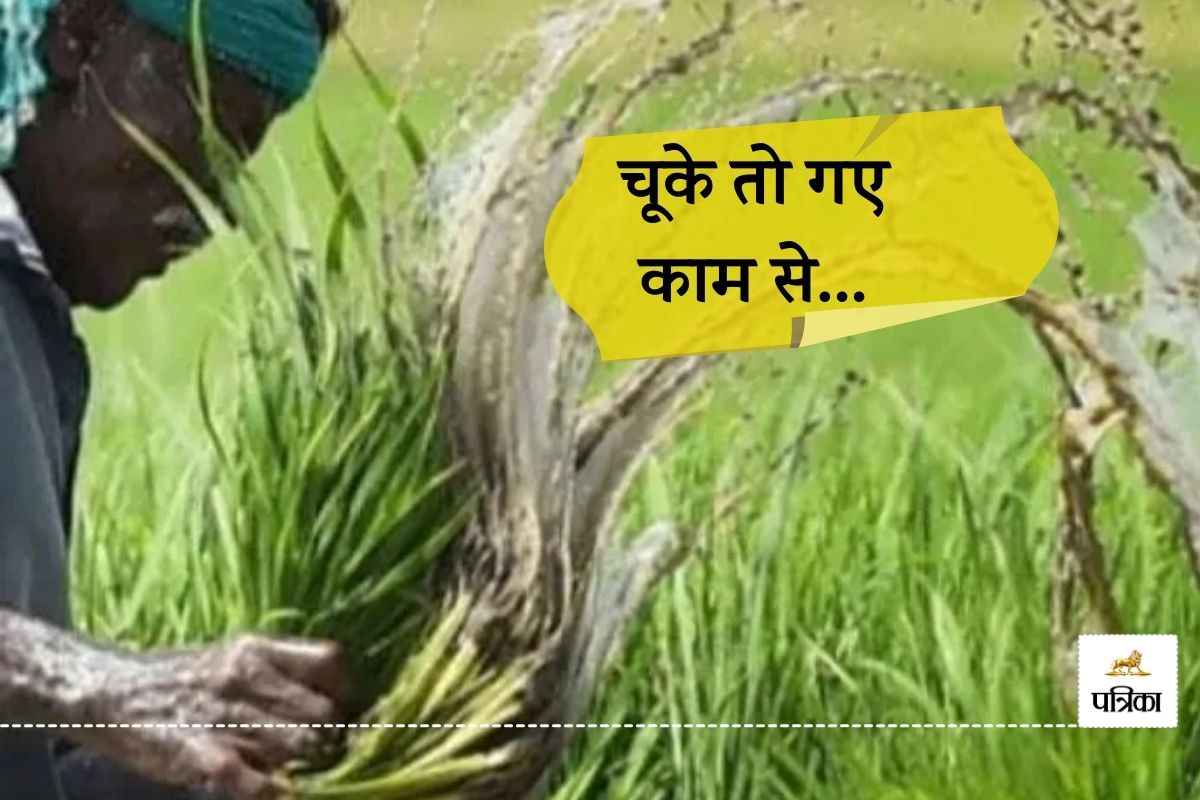 Rajasthan Farmers New Update PM Crop Insurance Scheme can be Availed till this Date