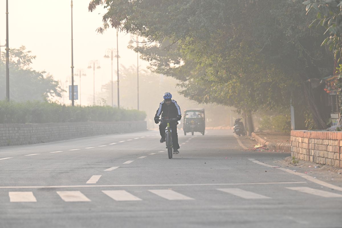 Weather update:शीतलहर जारी, अगले सप्ताह बारिश के आसार