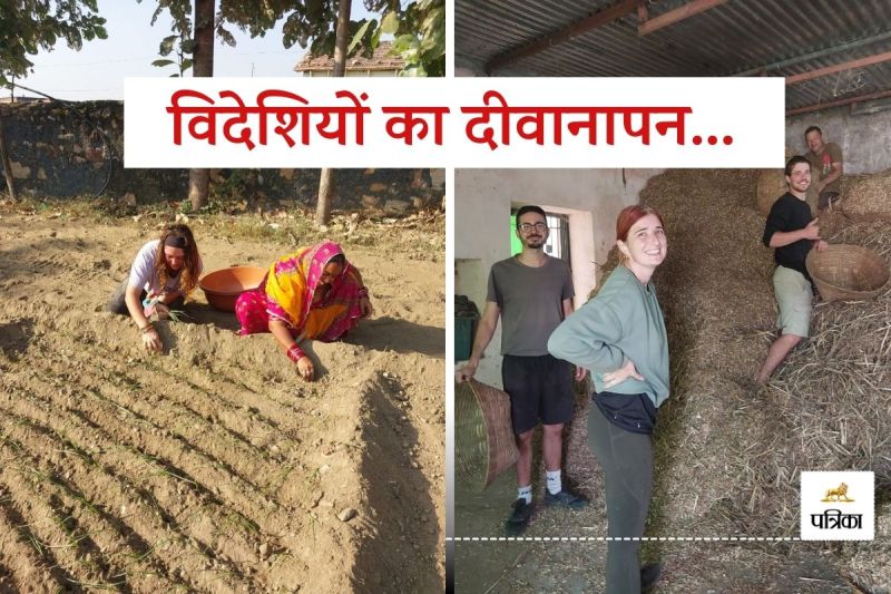 Rajasthan Villages Foreigners are Crazy Learning Tricks of Organic Farming