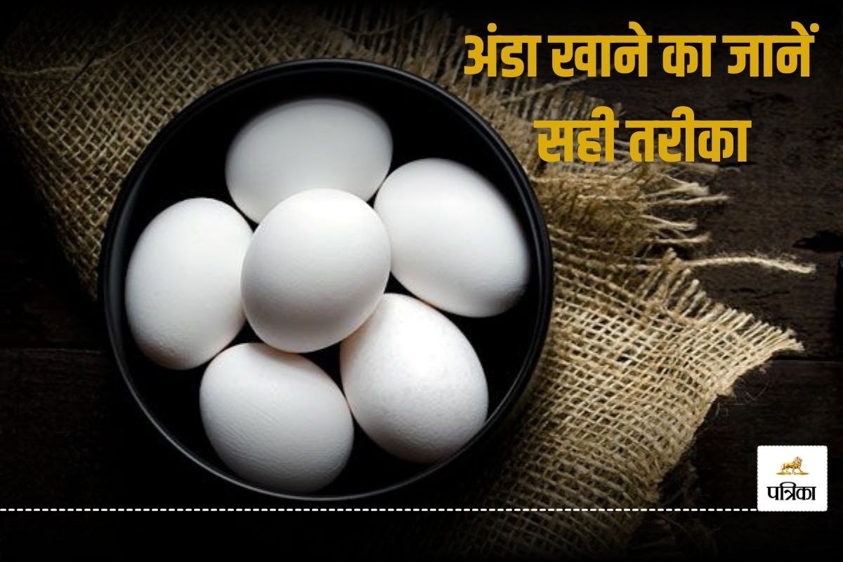 Eggs In Winter: सर्दियों में सेहत के लिए अंडा है फायदेमंद, जानिए इसे खाने का सही
तरीका