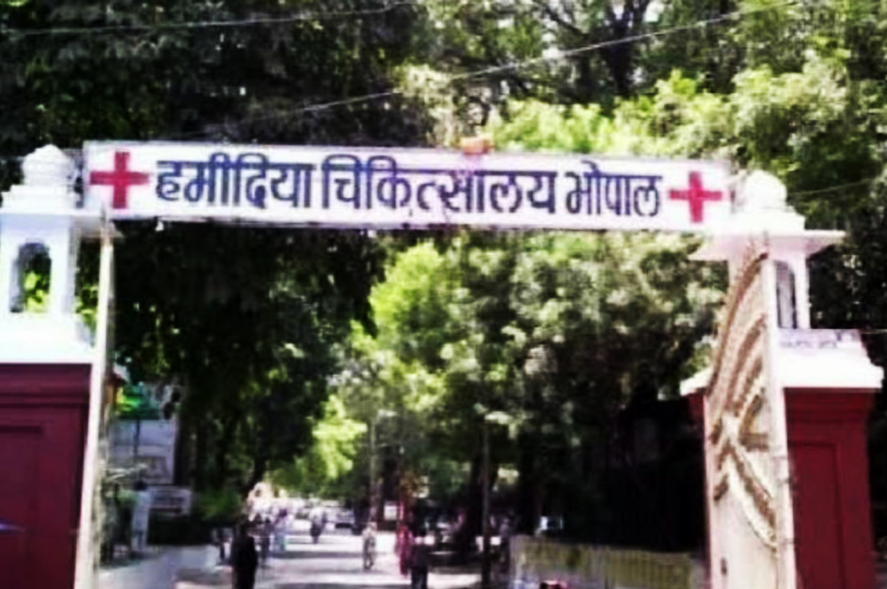 hamidia hospital News