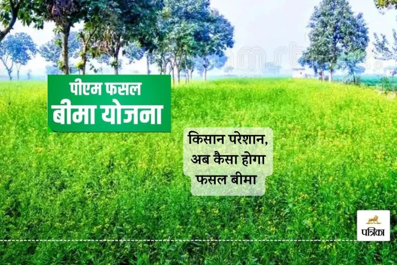 Hanumangarh Heavy Hailstorm Crop Insurance Portal Server Down Farmers got Worried