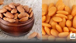 How to identify real almonds : कैसे पहचाने बादाम नकली है य असली? - image