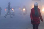 IMD issued yellow alert for cold wave
