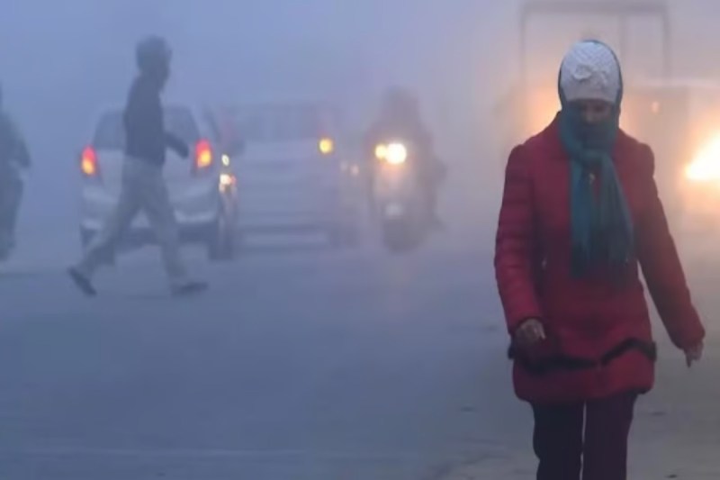 IMD issued yellow alert for cold wave