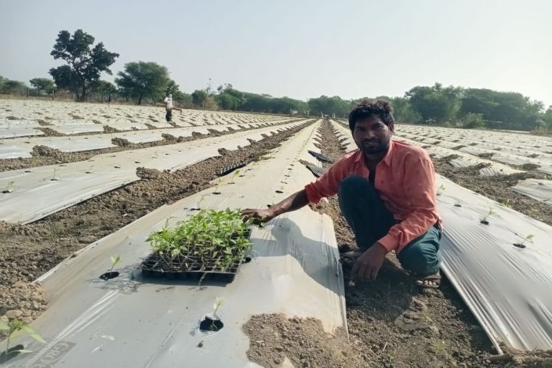 Farmers doing successful organic farming will get a prize of Rs 1 lakh