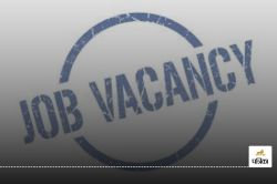 Job Vacancy: अगर है इंश्योरेंस और इन्वेस्टमेंट का ज्ञान तो आज ही अप्लाई करें इस
भर्ती के लिए, 19 दिसंबर है लास्ट डेट - image