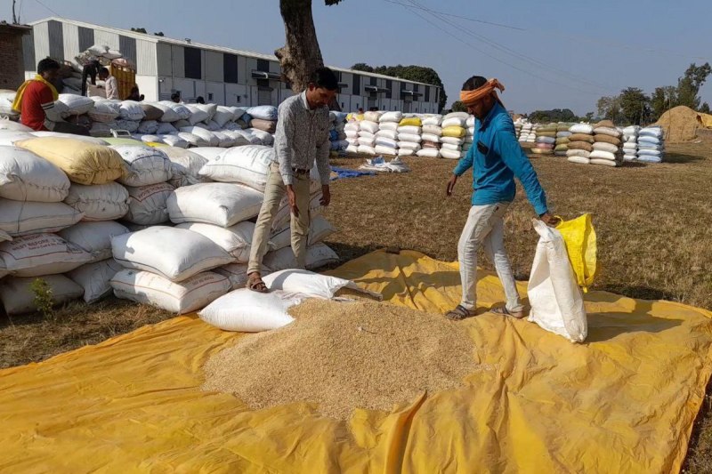 धान खरीदी होगी पारदर्शी (photo source- Patrika)