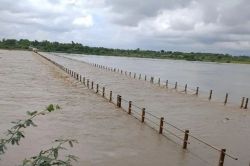 दर्जनों गांवों के लिए वरदान साबित होगी हाड़ोती में 70 करोड़ की लागत से बनने वाली
ये हाई लेवल पुलिया, जानें कहां-कहां होगा लाभ - image