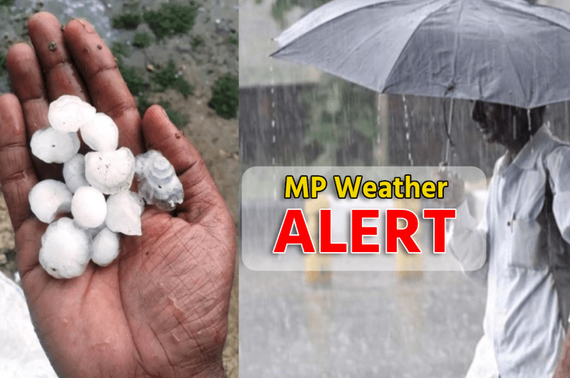 MP Weather Alert