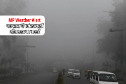 Weather Alert: थम गई बारिश, IMD का नया अलर्ट, आज से फिर बदलेगा मौसम, नए साल में
भयंकर सर्दी - image