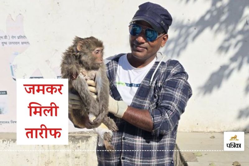 Good News Alwar Monkey Electric Current injured Successful Operation Public Appreciated Rescue Team Work