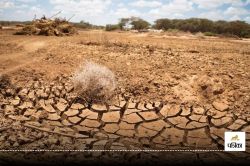 हमेशा के लिए सूख गई धरती की 40% भूमि, कहां से आएगा अब भोजन-पानी - image