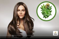 Neem Hair Mask: सर्दियों में डैंड्रफ से राहत पाने के लिए लगाएं नीम हेयर मास्क,
जानें बनाने का आसान तरीका - image