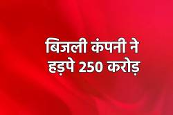 ‘प्रधानमंत्री सौभाग्‍य योजना’ में करोड़ों की गड़बड़ी, अधिकारियों ने रची झूठी
कहानी - image