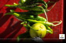 Nimbu Mirchi Belief