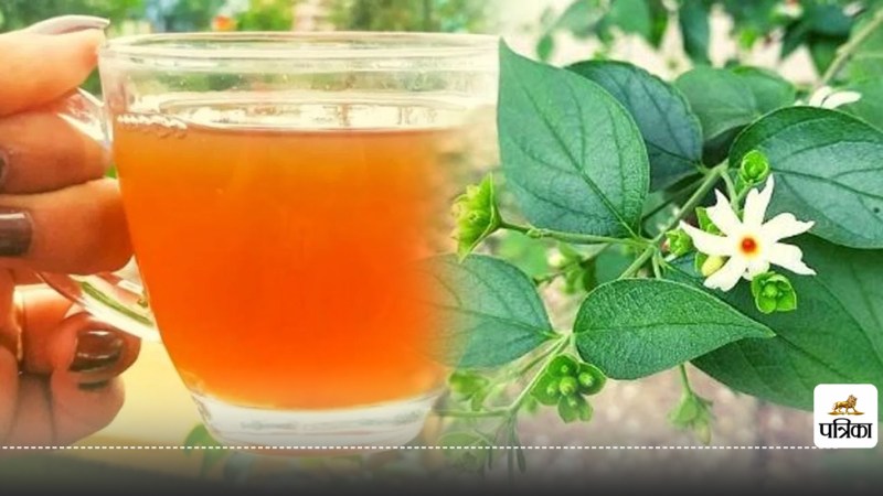 Parijat Kadha: The Easy Cure for Fever, Cold, and Pain