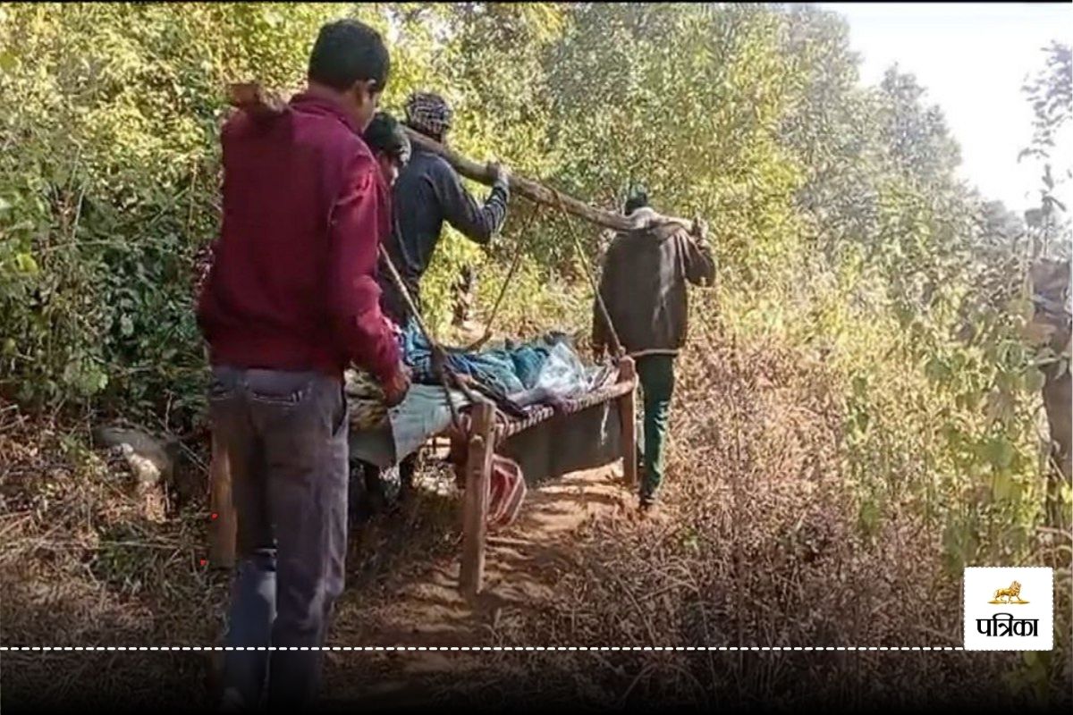 Patient on cot: Video: पंडो बस्ती में एंबुलेंस पहुंचने तक की सडक़ नहीं, मरीज को
चारपाई पर 4 किमी ढोकर लाना पड़ा, तब…