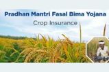 PM crop insurance scheme gives amount at the rate of 23 rupees per acre