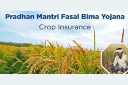 Crop Insurance Scheme : सरकार ने किया बड़ा ऐलान, किसानों के लंबित बीमा क्लेम का
होगा निपटारा, जल्द मिलेगा राहत राशि का भुगतान - image