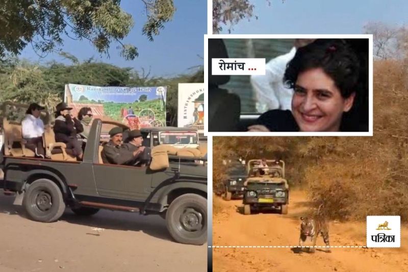 Priyanka Gandhi Silently Followed Riddhi in Ranthambore Tiger Safari Watched Mahi Antics
