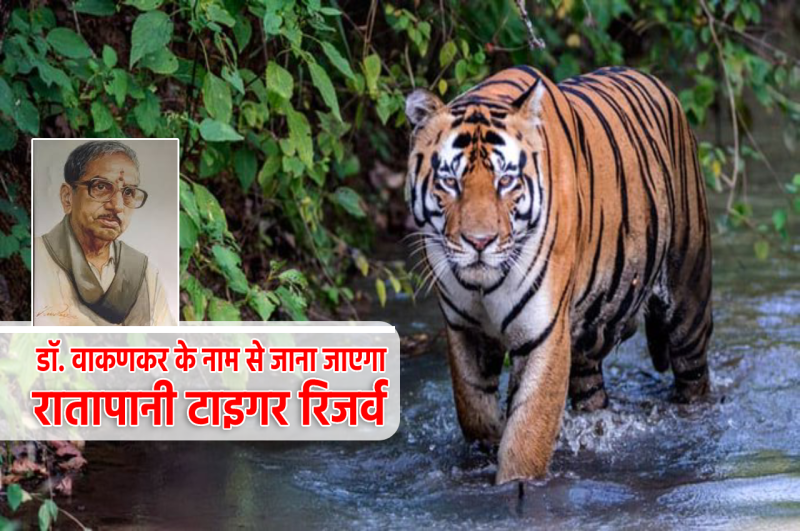 Ratapani tiger reserve