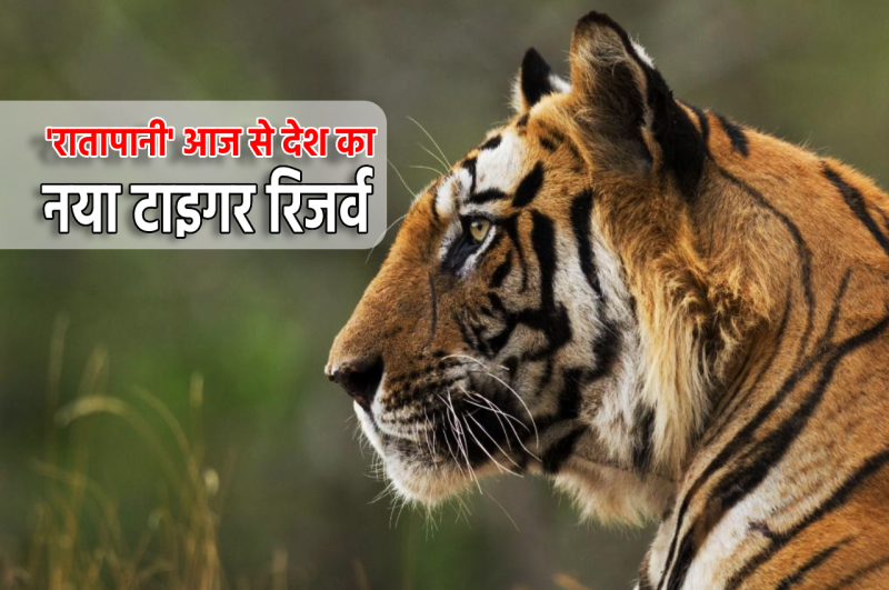 Ratapani tiger reserve