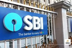 SBI Job Vacancy: स्टेट बैंक ने निकाली जूनियर एसोसिएट के पदों पर भर्ती, नजदीक है
अंतिम तारीख, झटपट कर लें आवेदन - image