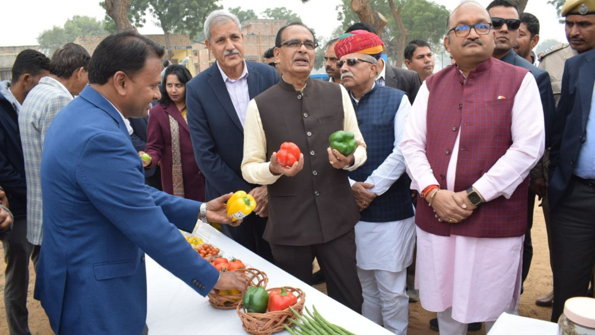 रेगिस्तान में फाइव स्टार होटल की सब्जियां देखकर चौंक गए कृषि मंत्री शिवराज सिंह
चौहान, बोले- कभी सोचा नहीं था