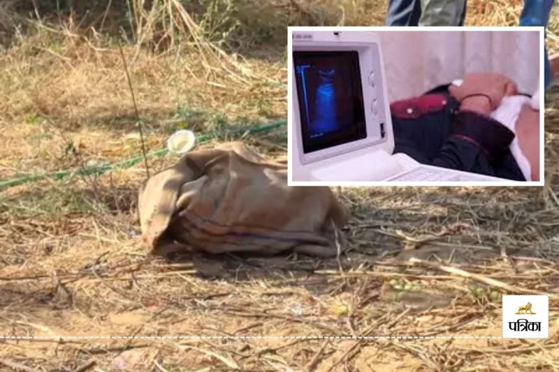 Jaipur Field Found Sonography Machine Officers Shocked investigation begins