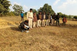 Tiger movement: मरवाही जंगल से मनेंद्रगढ़ की सीमा में घुसा बाघ, लगाई दहाड़,
ड्रोन से चल रही खोजबीन - image