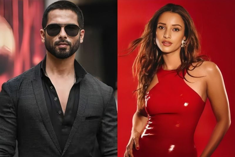 Arjun Ustara Update Triptii Dimri To Share Screen With Shahid Kapoor for first time