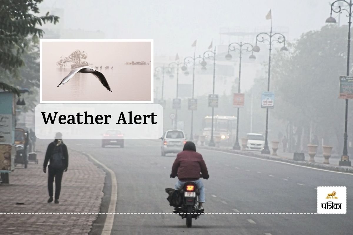 Weather Update Meteorological Department New Alert Rajasthan Blow Cold Wave Visibility Reduced to less than 50 Meters know how Weather Today