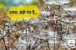 Weather Update : मौसम विभाग का Yellow Alert, राजस्थान में चलेगी 3 दिन कोल्ड-वेव - image