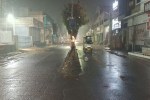 Drizzle gives life to crops in Sriganganagar-Anupgarh districts