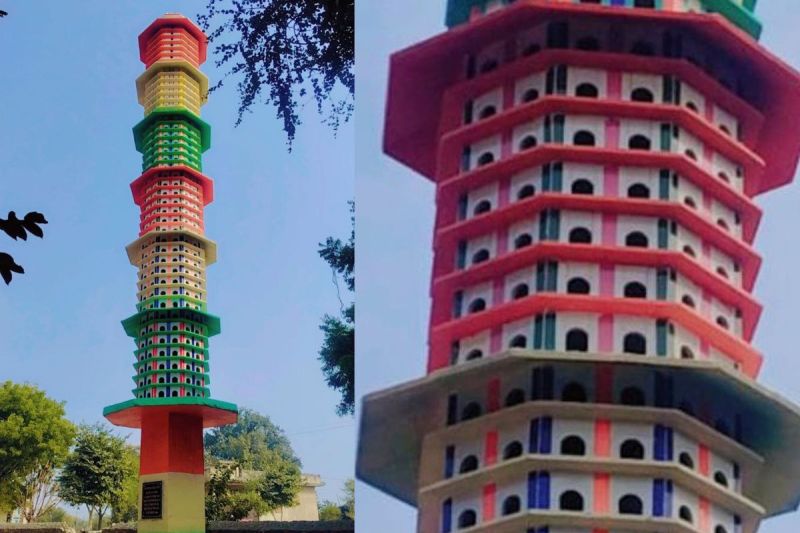 birds house neem ka thana